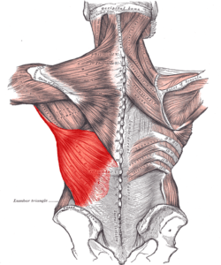 mid-back pain